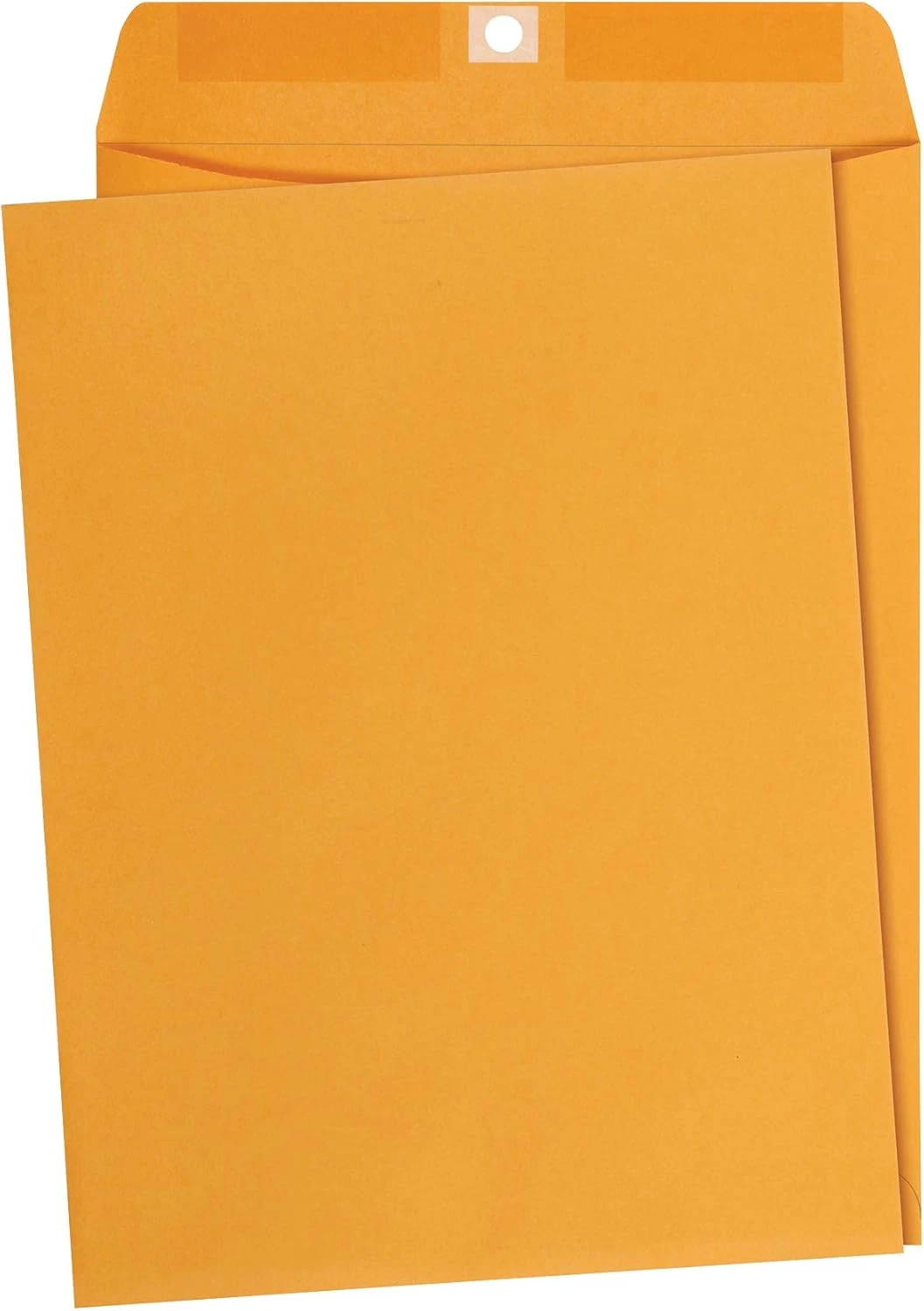 Basics Clasp Kraft Envelopes, Gummed Mailing Envelope, 9 x 12-Inch, 100-Pack